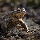 Foto-Forum BEFO-2014-  023